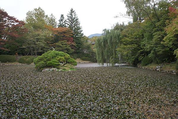 佛國寺 (9).JPG