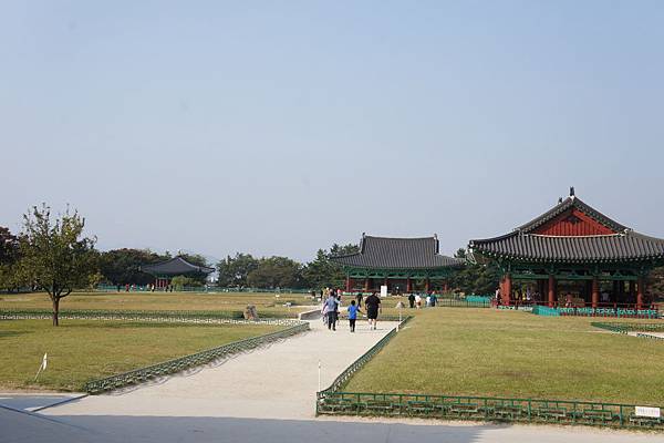 雁鴨池 (2).JPG