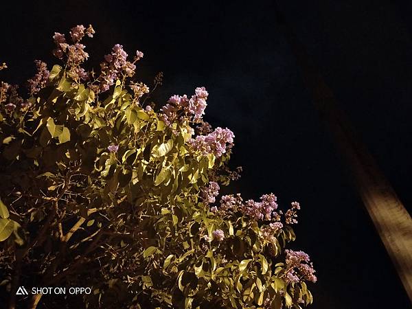 IMG20180605204937 IMG20180605204937