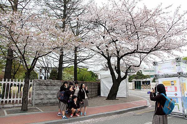 汝矣島輪中路01.JPG