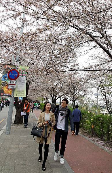 汝矣島輪中路11.JPG