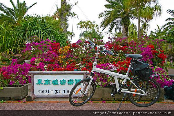 沖繩單車D2-22.JPG