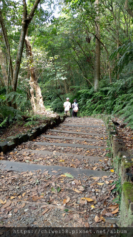 翠山步道44.jpg