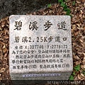 翠山步道42.jpg