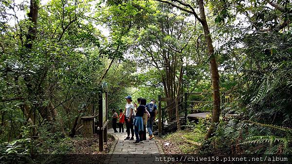 翠山步道51.jpg