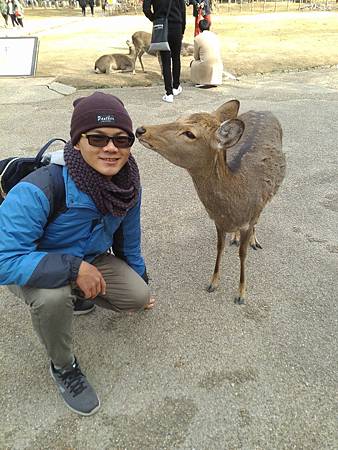 關於kiwi到底是誰？日本奈良