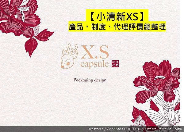 小清新xs產品、制度、代理評價總整理.jpg