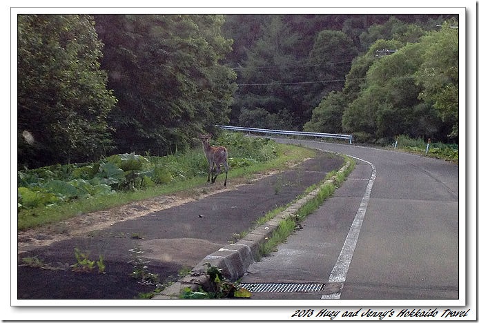 20130717_06 今晚的營地~達古武露營場 00s