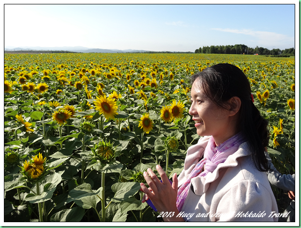 20130721_08 女滿別向日葵花田 004s