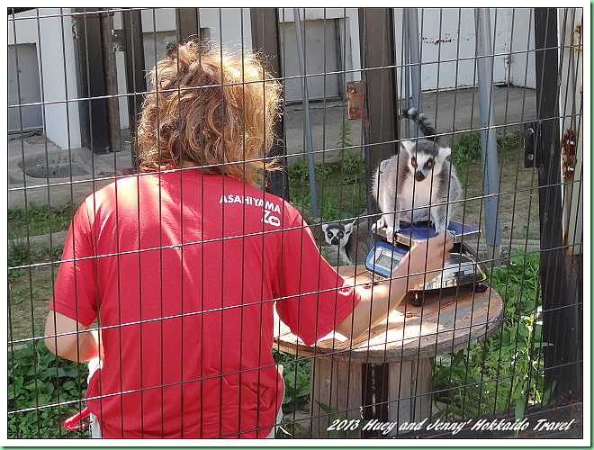 20130723_04 旭山動物園 015s