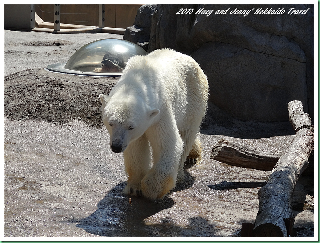 20130723_04 旭山動物園 040s