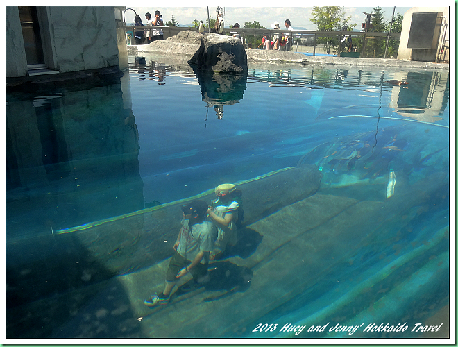 20130723_04 旭山動物園 102s