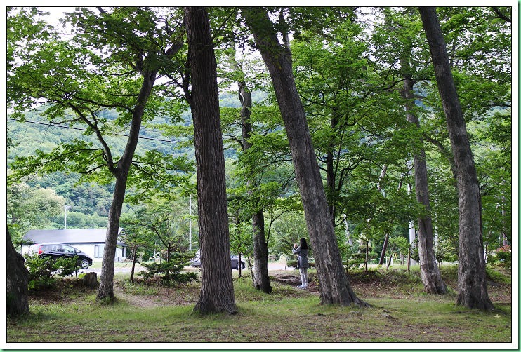 20140722_001 仲洞爺露營場之晨 001s