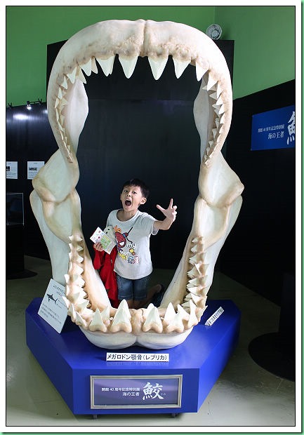 20140725_002 小樽水族館 004s