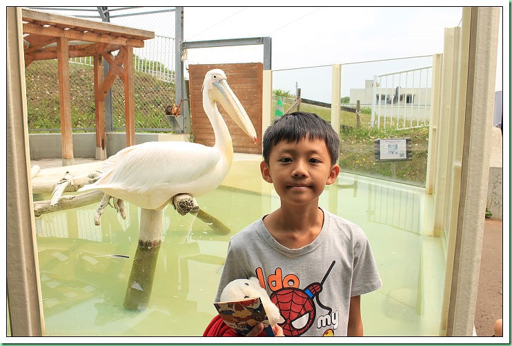 20140725_002 小樽水族館 015s