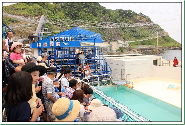 20140725_002 小樽水族館 022s