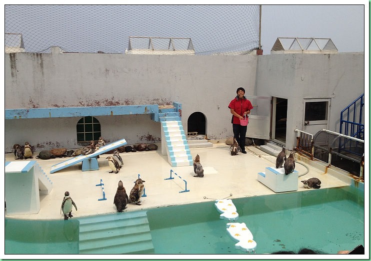 20140725_002 小樽水族館 543s