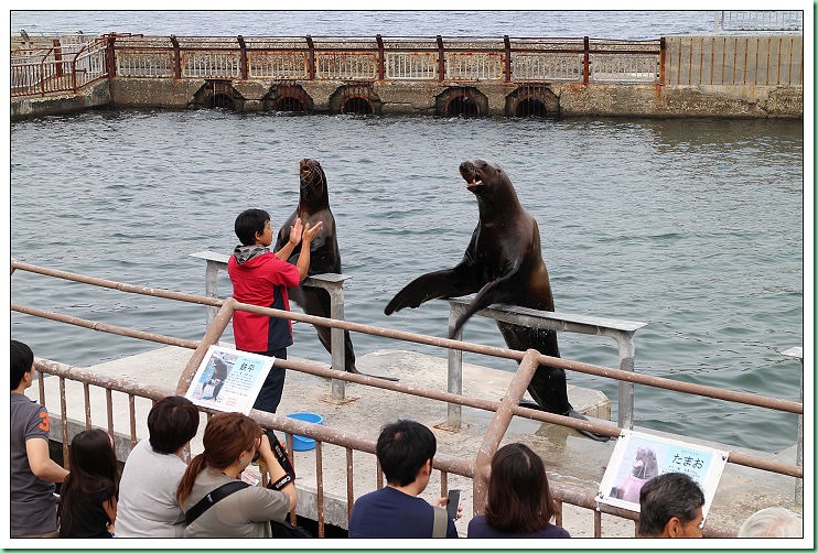 20140725_002 小樽水族館 031s