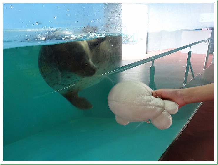 20140725_002 小樽水族館 121s