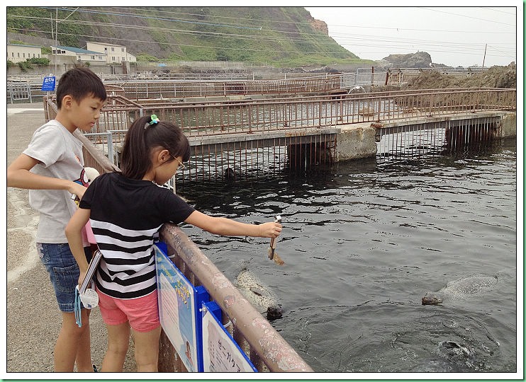 20140725_002 小樽水族館 579s