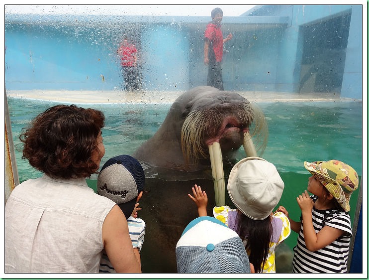 20140725_002 小樽水族館 132s