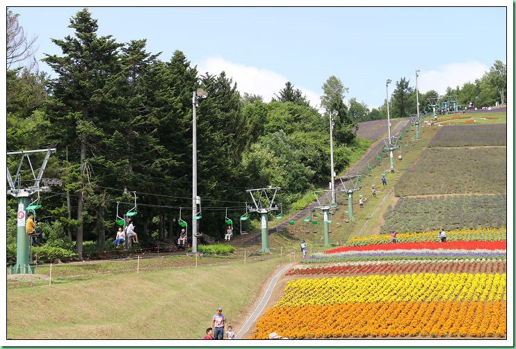 20140728_003 町營北星山薰衣草園 104s