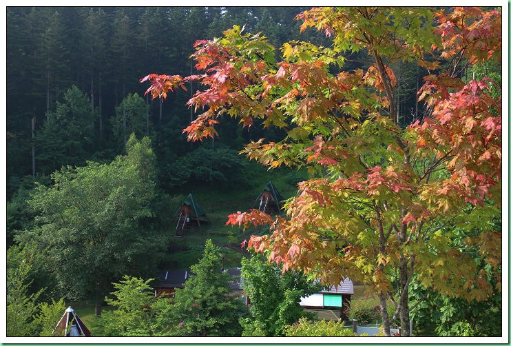 20140801_001 美幌露營場之晨 131s