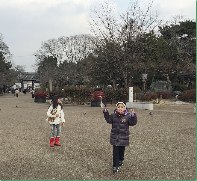 20150208_05 圓山公園_八阪神社 510s