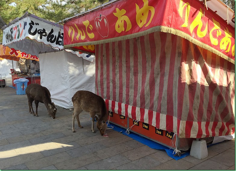 20150210_04 奈良鹿公園與東大寺 542s