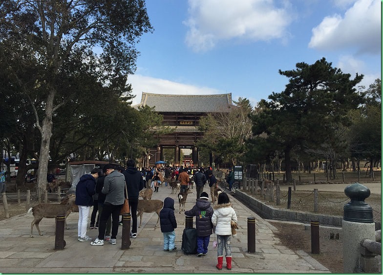 20150210_04 奈良鹿公園與東大寺 546s