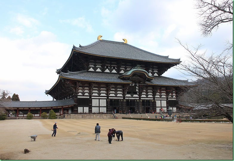 20150210_04 奈良鹿公園與東大寺 022s