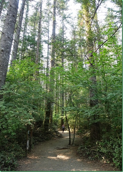 20170807_02  二訪Rattlesnake lake 006s