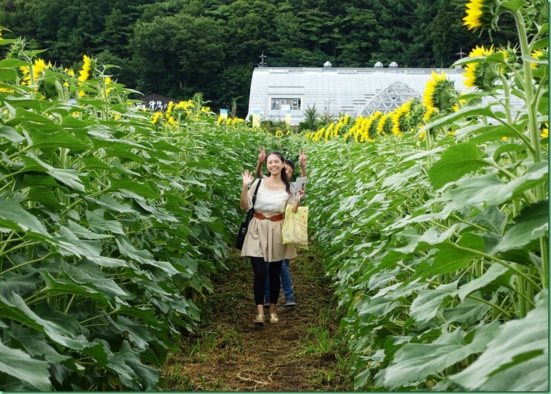 20160802_03 花之都公園 024s