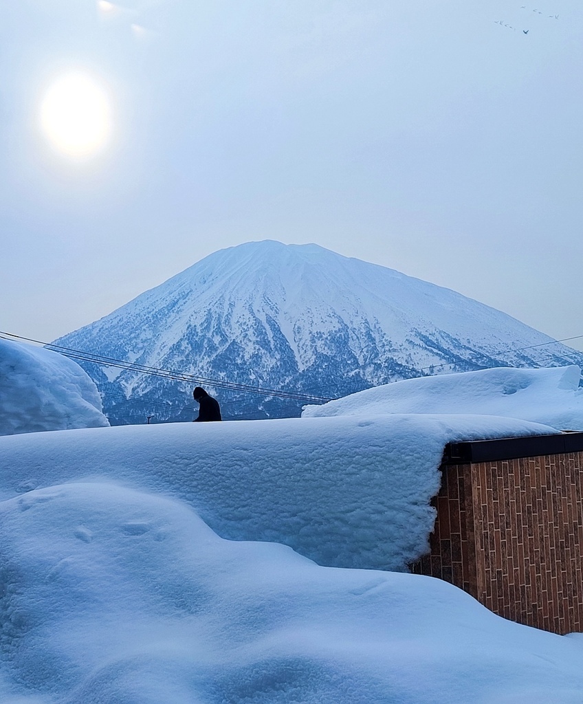 20240131_01 TORIFITO之晨 01s.jpg