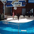 2006_06230197.JPG