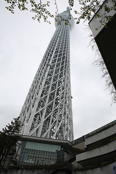 MW0A5055.jpg MW0A5055.jpg