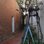 DSCF2327.JPG DSCF2327.JPG