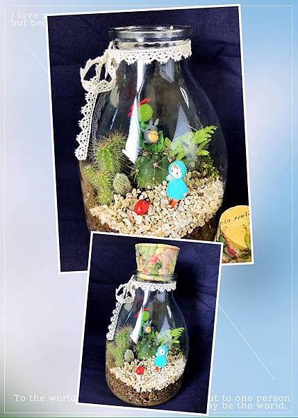 龍貓植栽瓶.jpg 龍貓植栽瓶.jpg