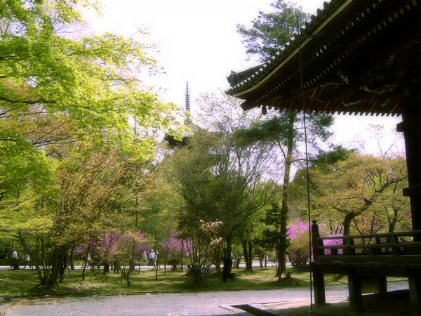 京都 京都