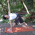 16.parivrtta trikonasana 反向三角