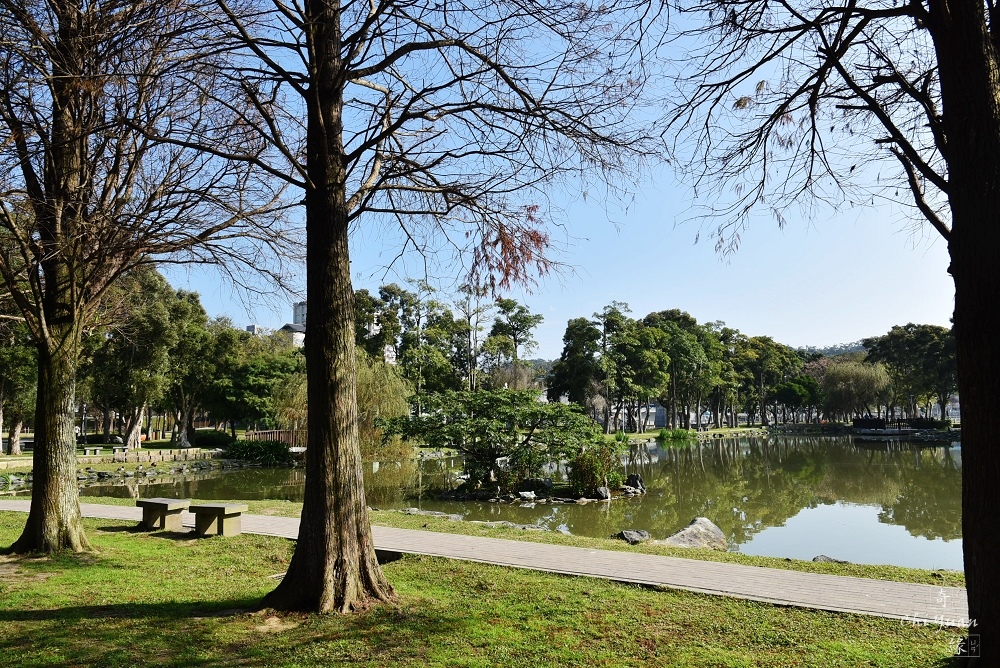 20190203大湖公園18.JPG