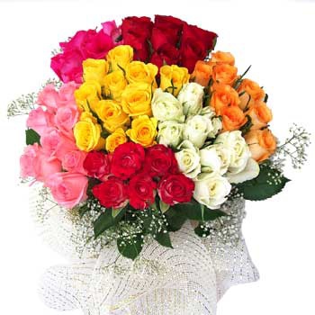花23