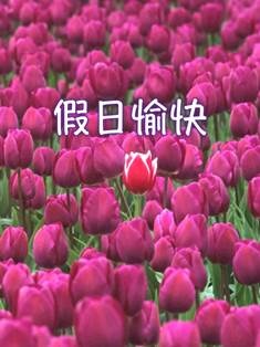 假日1.jpg
