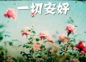 安好.jpg