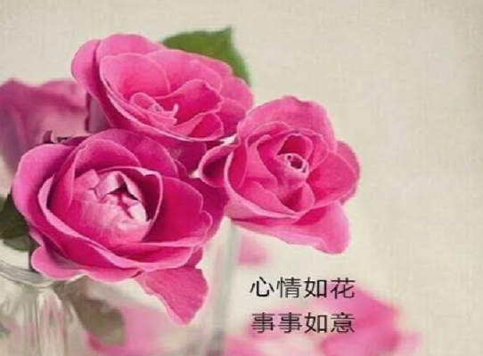 事事如意