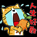 動圖1548831523-557423839.gif