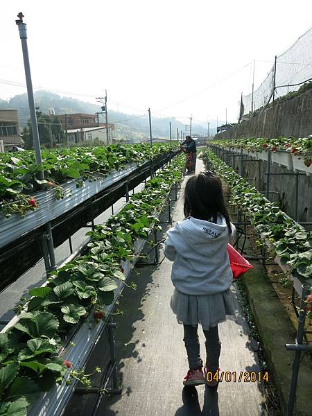 請輸入圖片標題