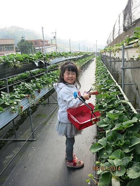 請輸入圖片標題