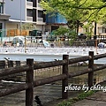 20140415竹北近況-039.JPG