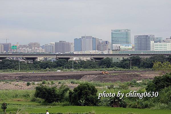 20140524竹北近況-063.JPG